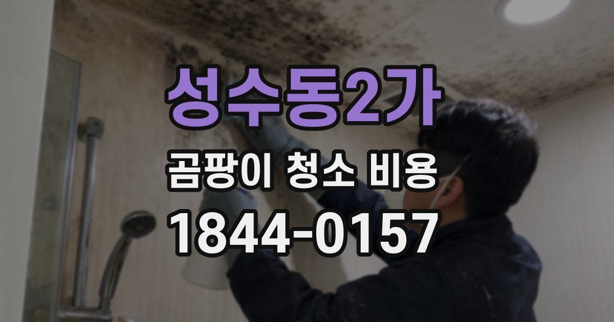 성수동2가 곰팡이 청소 비용