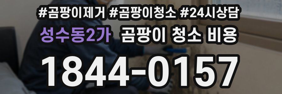 성수동2가 곰팡이 청소 비용