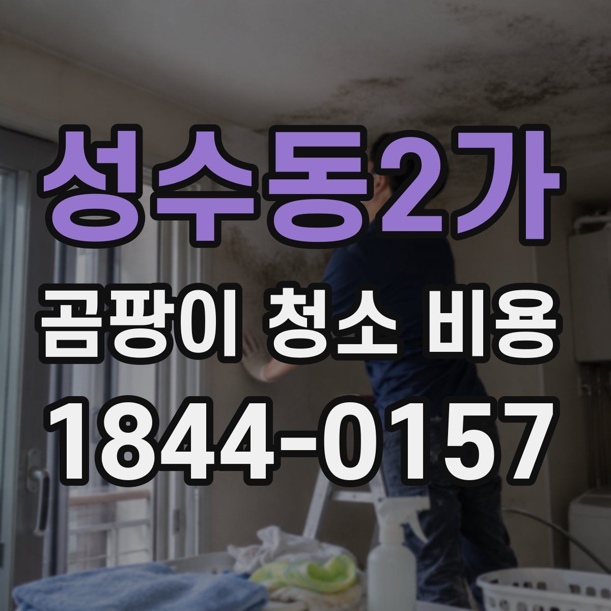 성수동2가 곰팡이 청소 비용