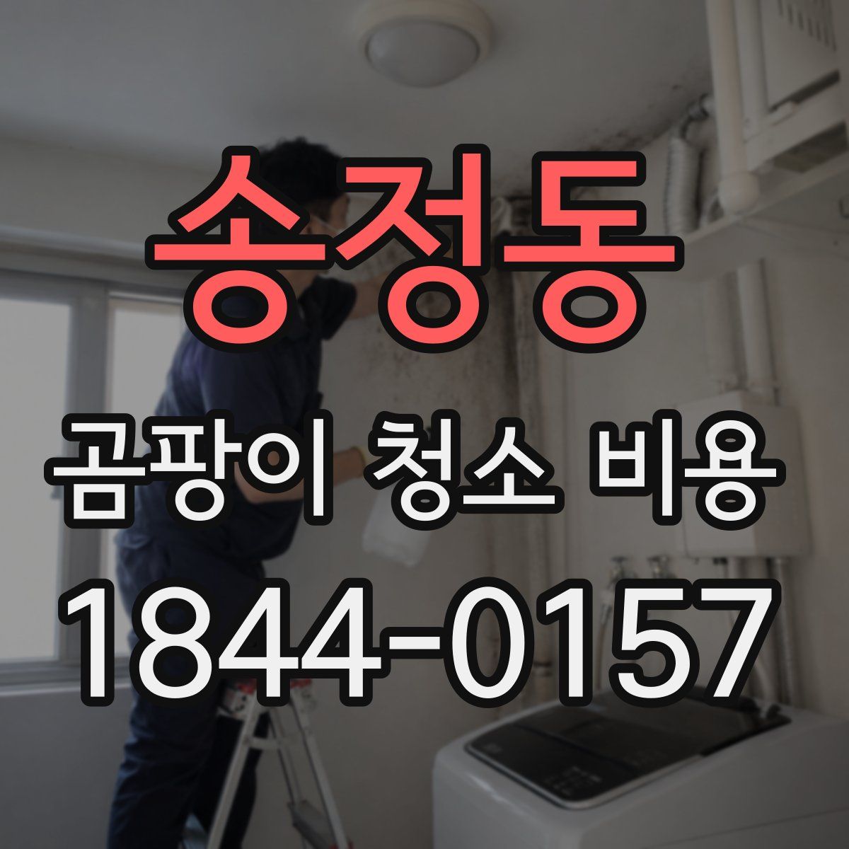 송정동 곰팡이 청소 비용