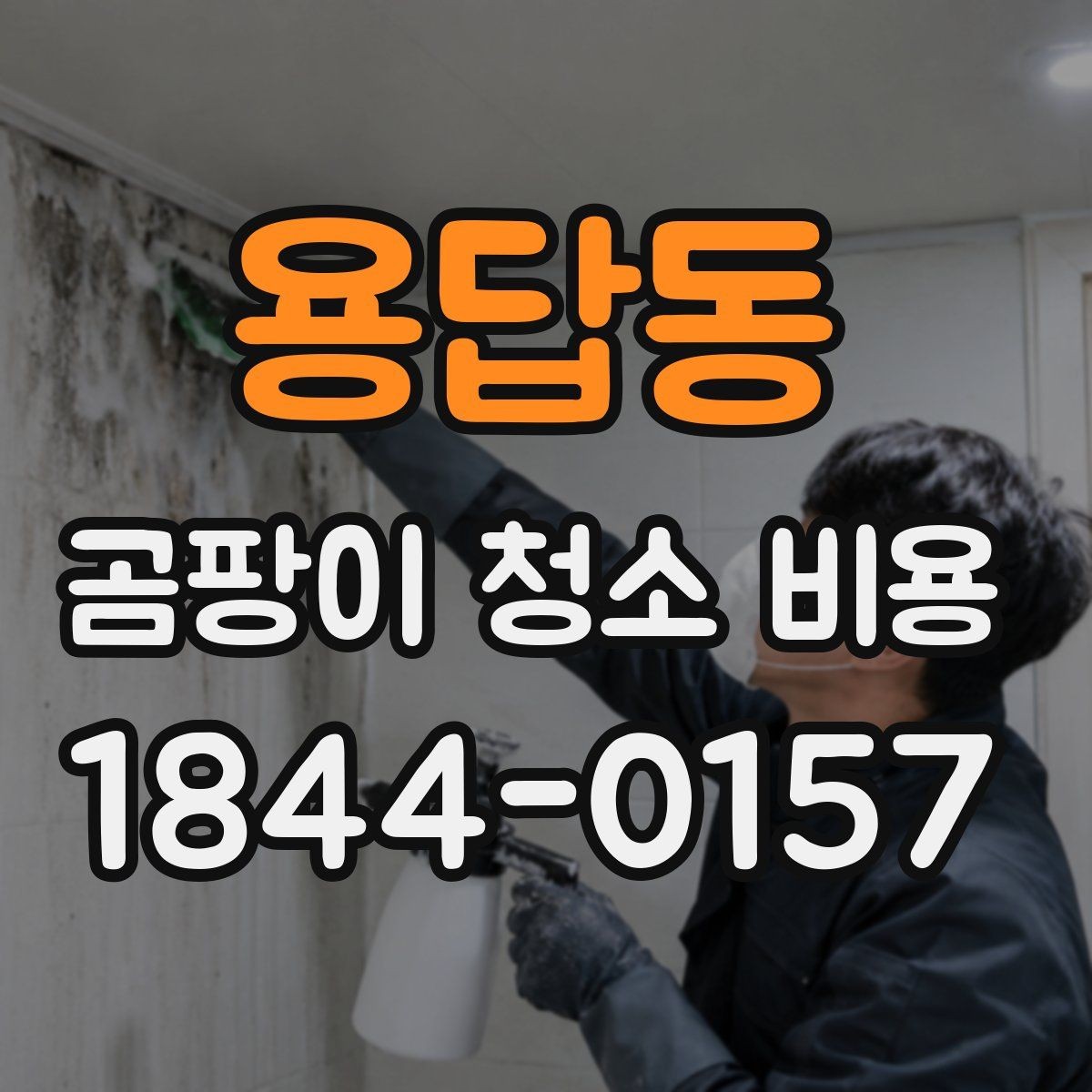 용답동 곰팡이 청소 비용 상가와 주거공간에서 작업 범위가 달라지는 지점