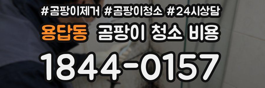 용답동 곰팡이 청소 비용