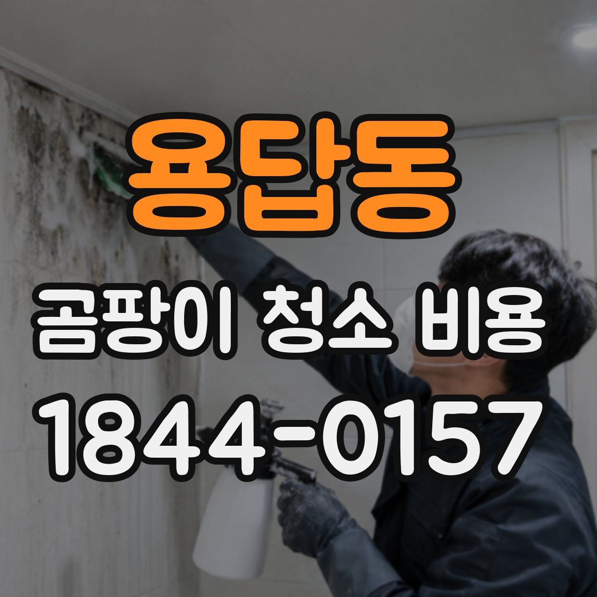 용답동 곰팡이 청소 비용