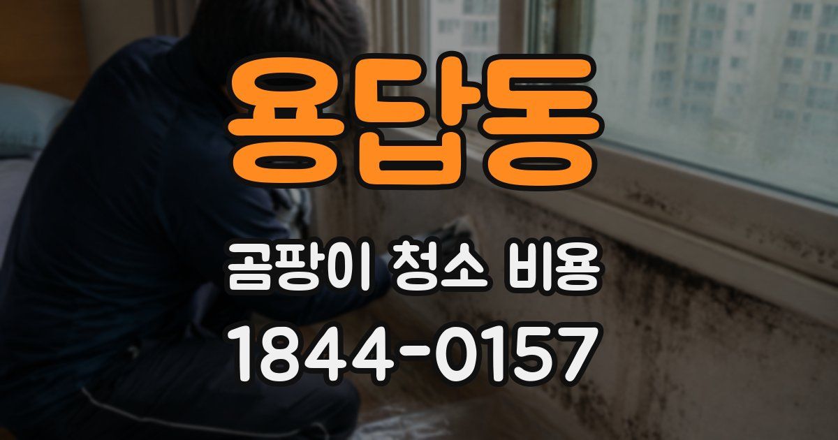 용답동 곰팡이 청소 비용