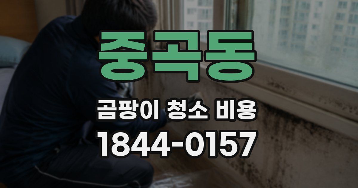 중곡동 곰팡이 청소 비용