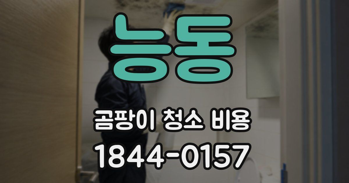 능동 곰팡이 청소 비용