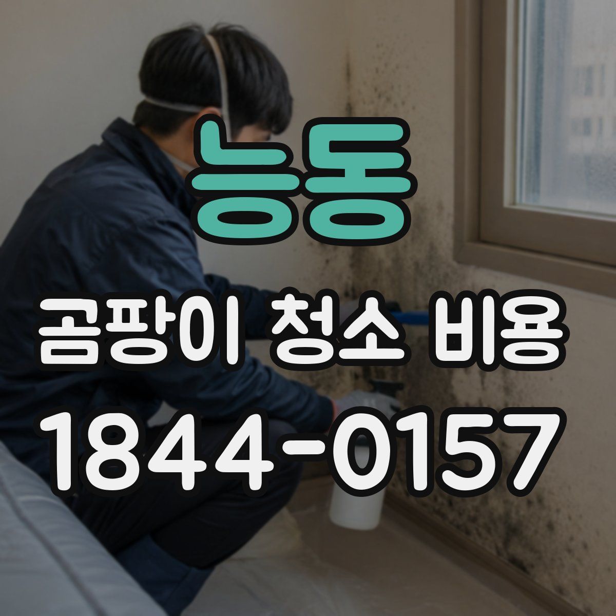 능동 곰팡이 청소 비용