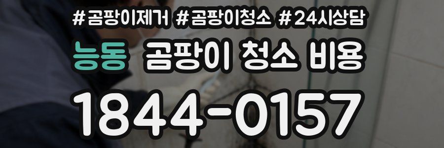 능동 곰팡이 청소 비용