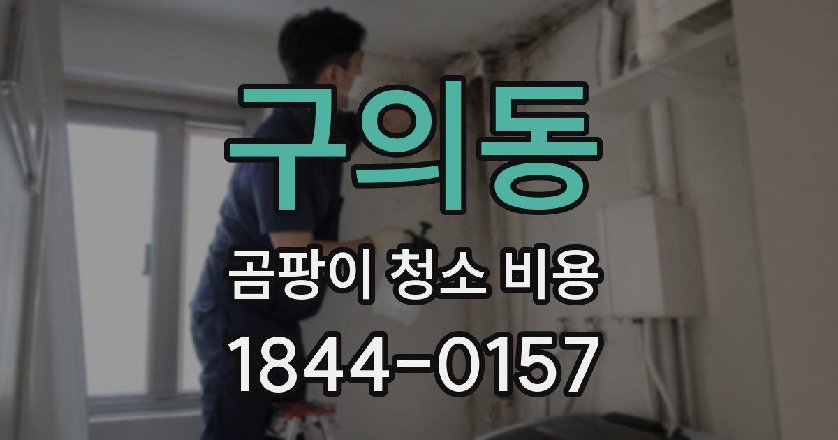 구의동 곰팡이 청소 비용