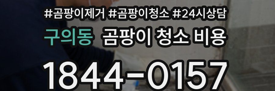 구의동 곰팡이 청소 비용