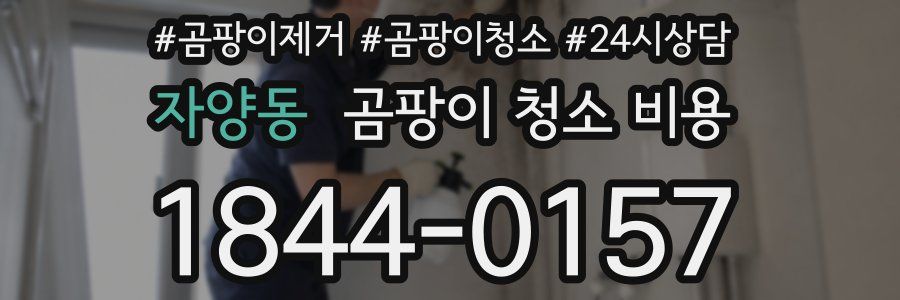 자양동 곰팡이 청소 비용