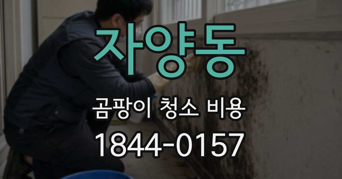 자양동 곰팡이 청소 비용