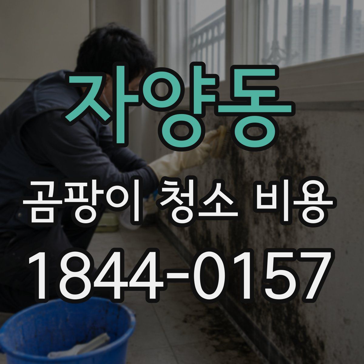 자양동 곰팡이 청소 비용