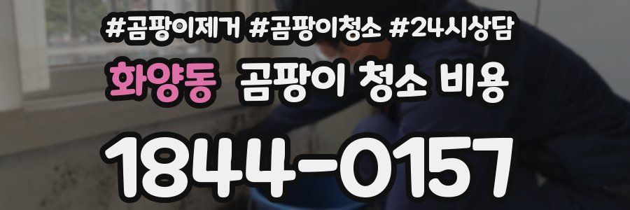 화양동 곰팡이 청소 비용