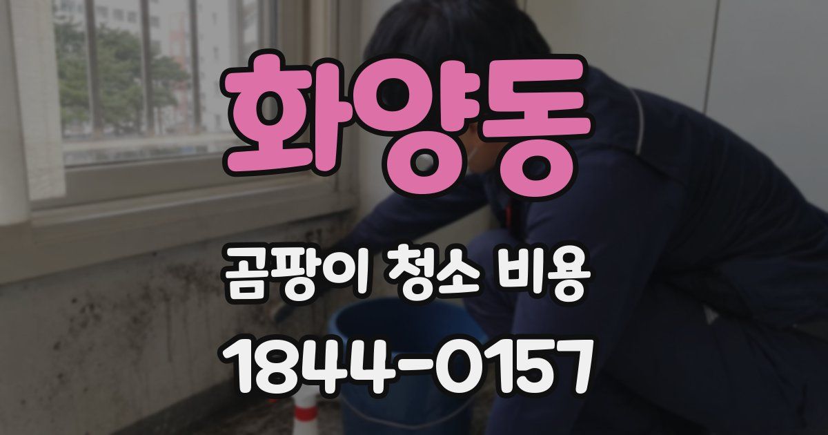 화양동 곰팡이 청소 비용