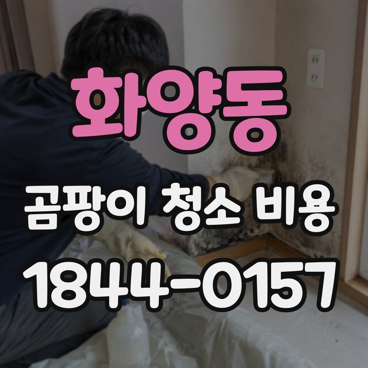 화양동 곰팡이 청소 비용