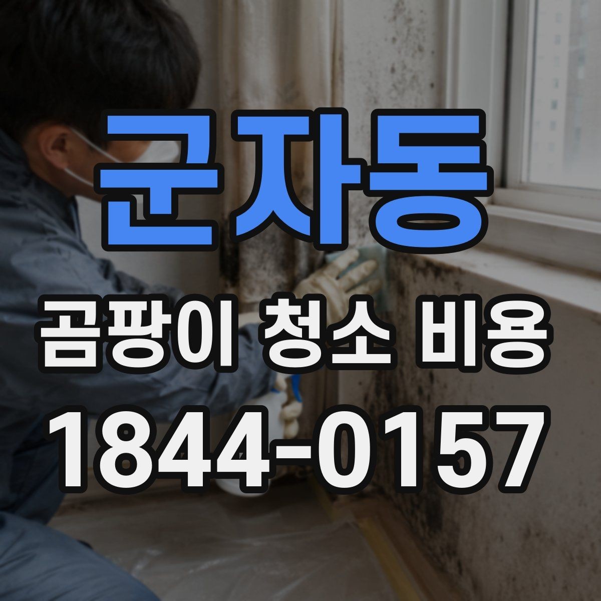 군자동 곰팡이 청소 비용 붙박이장 내부 오염이 넓을 때