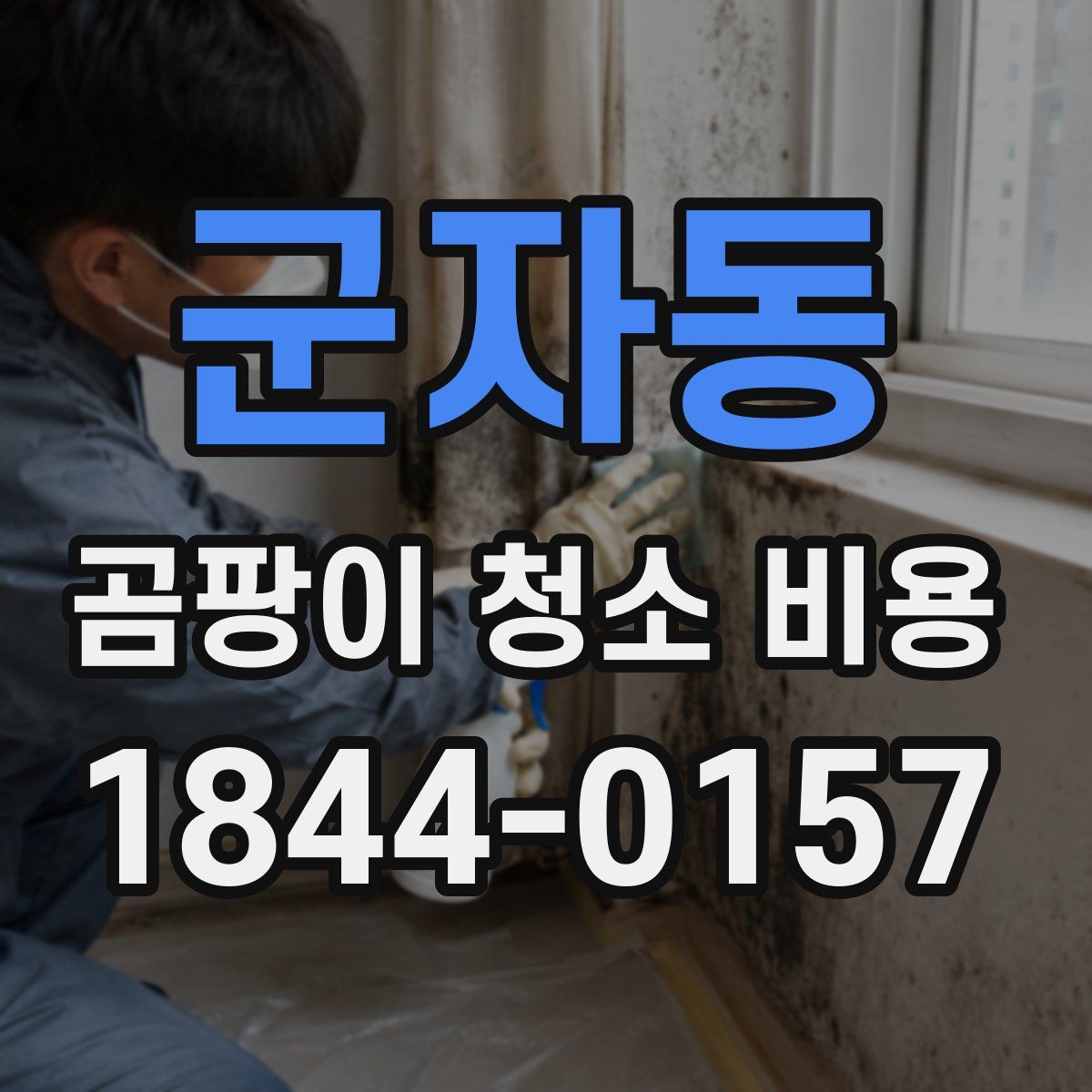 군자동 곰팡이 청소 비용