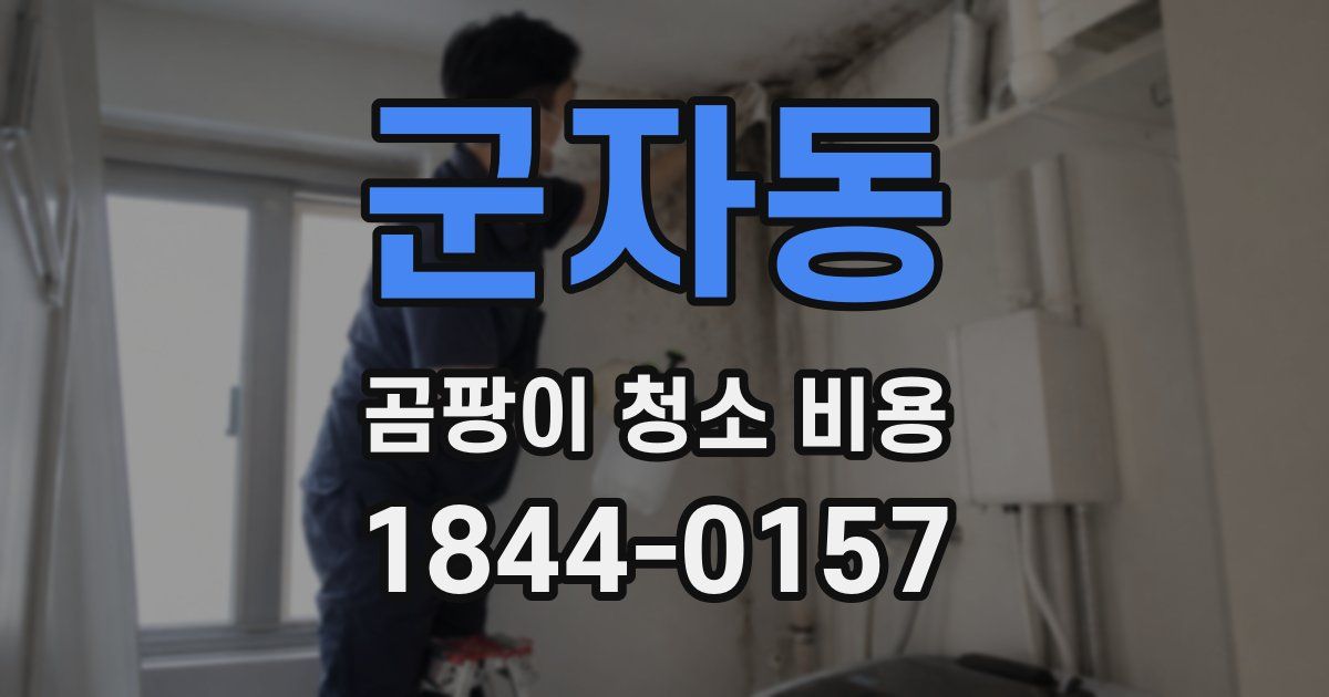 군자동 곰팡이 청소 비용