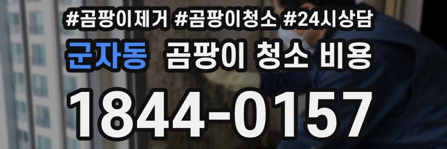 군자동 곰팡이 청소 비용