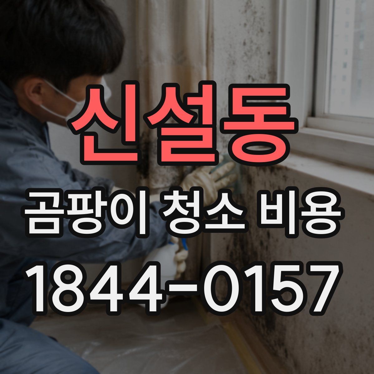 신설동 곰팡이 청소 비용