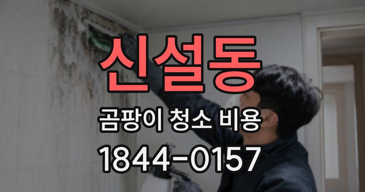 신설동 곰팡이 청소 비용