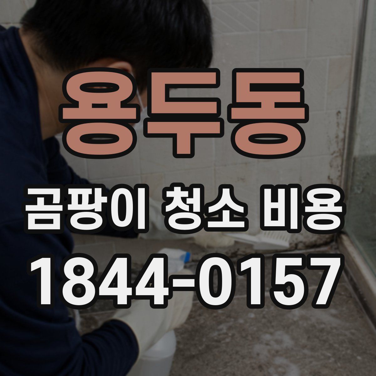 용두동 곰팡이 청소 비용