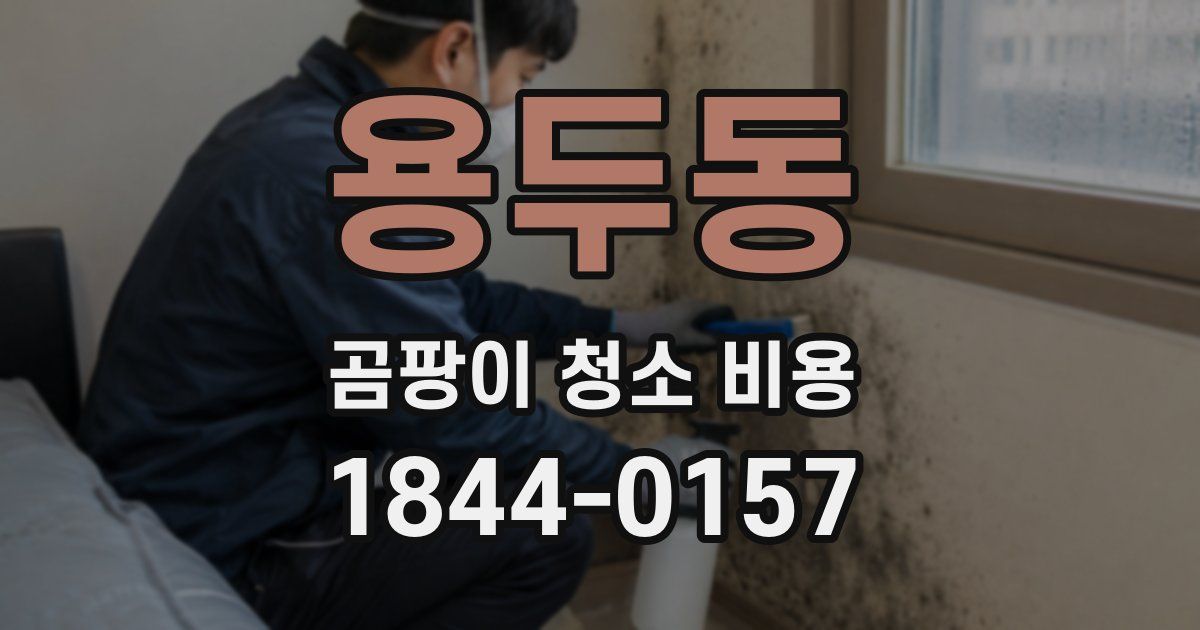 용두동 곰팡이 청소 비용