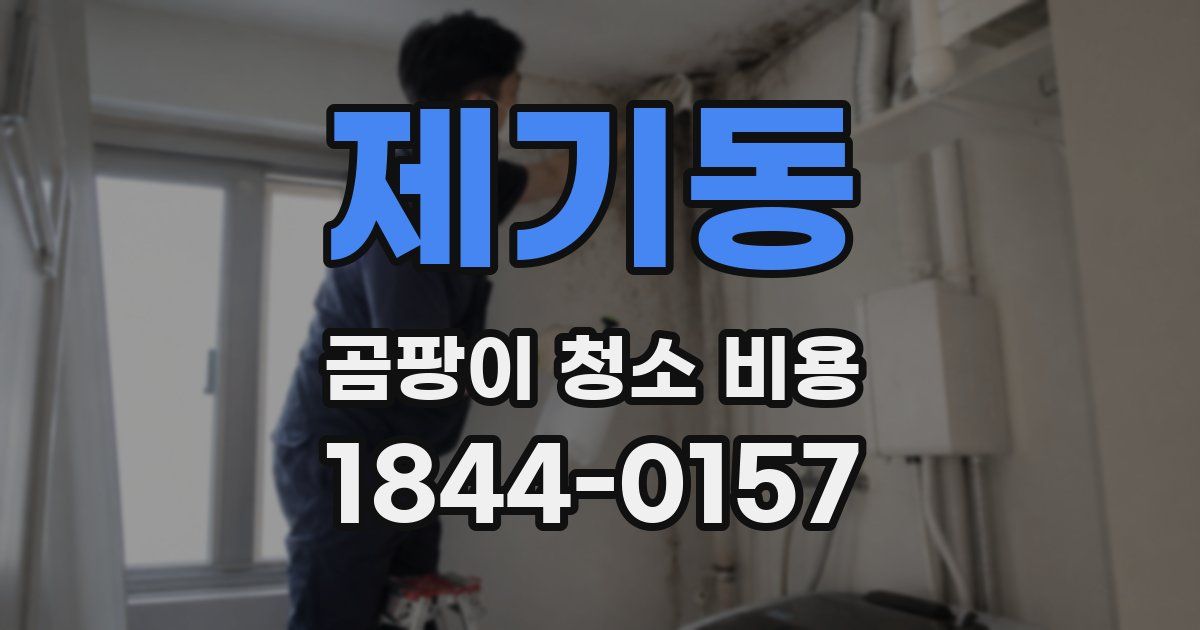 제기동 곰팡이 청소 비용