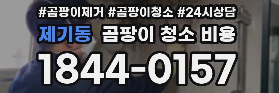 제기동 곰팡이 청소 비용
