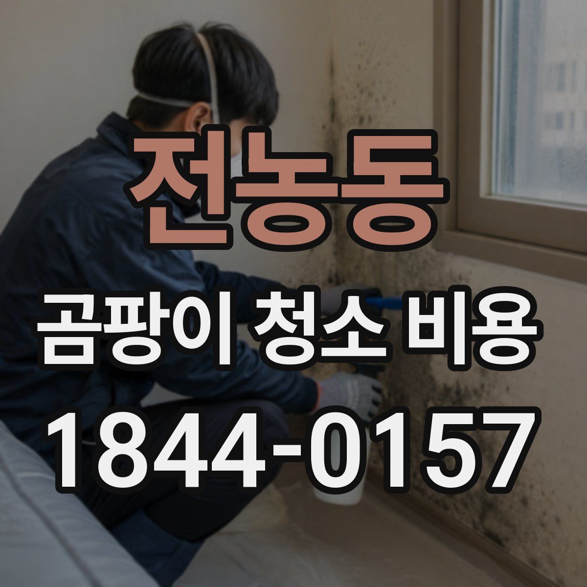 전농동 곰팡이 청소 비용