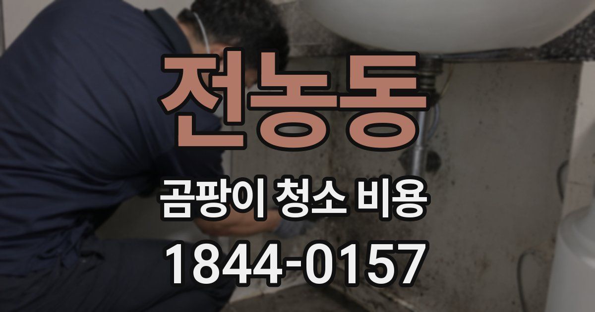 전농동 곰팡이 청소 비용