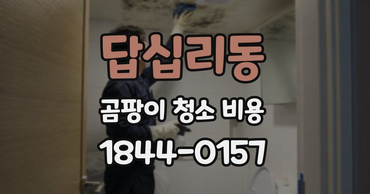 답십리동 곰팡이 청소 비용