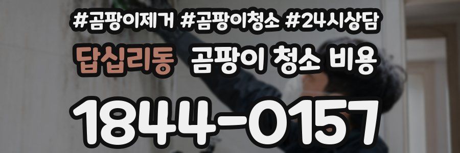 답십리동 곰팡이 청소 비용