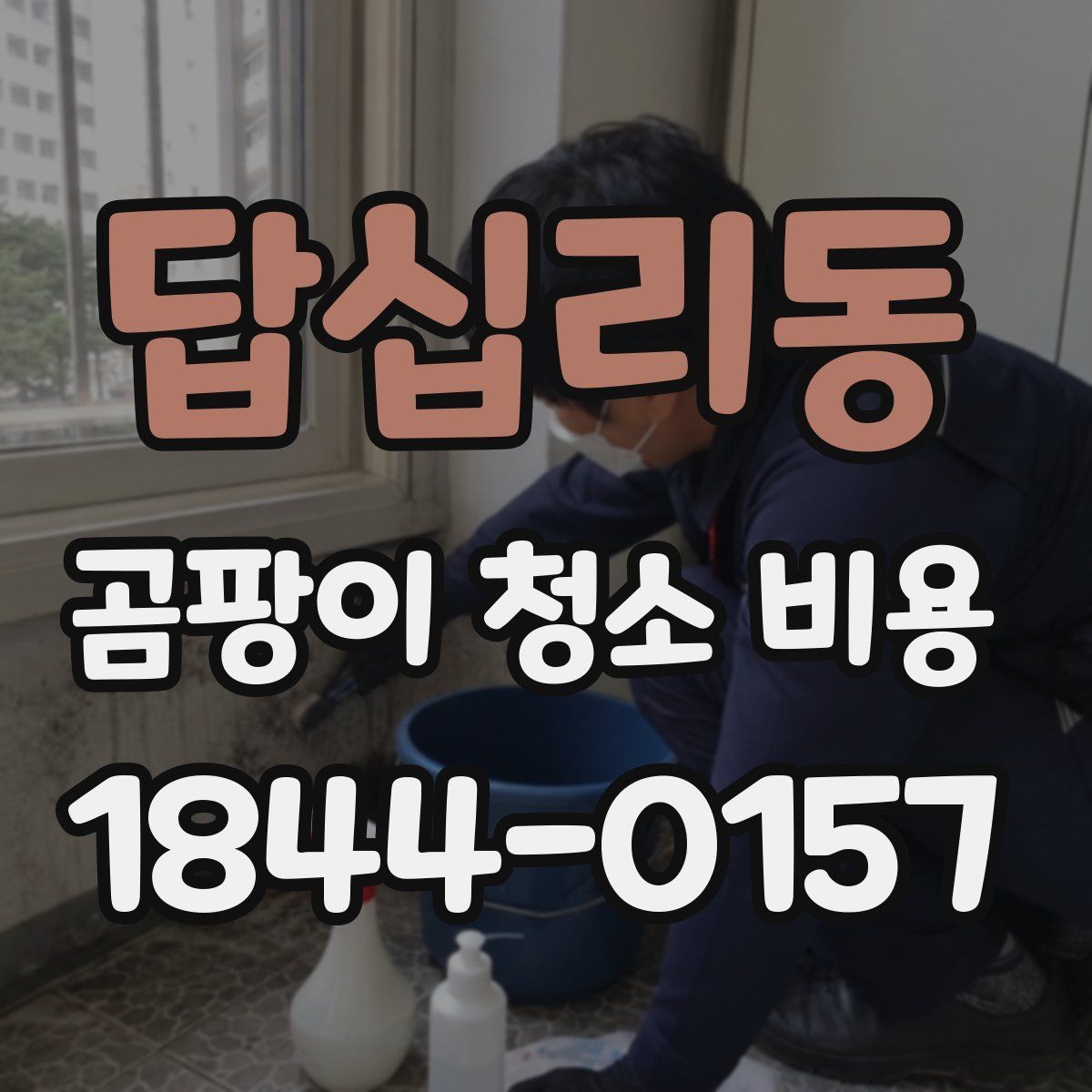 답십리동 곰팡이 청소 비용