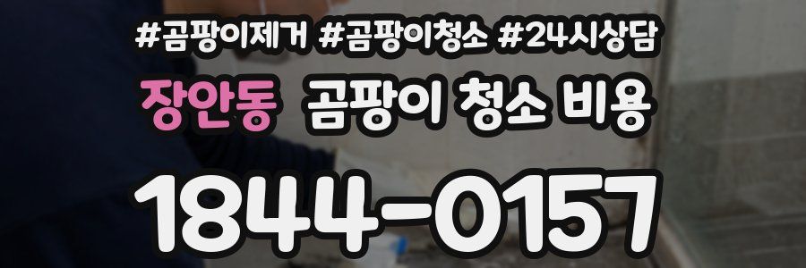 장안동 곰팡이 청소 비용