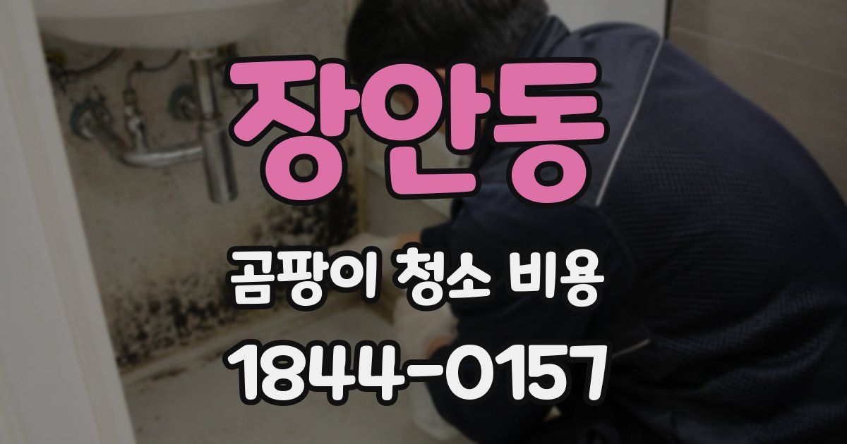 장안동 곰팡이 청소 비용