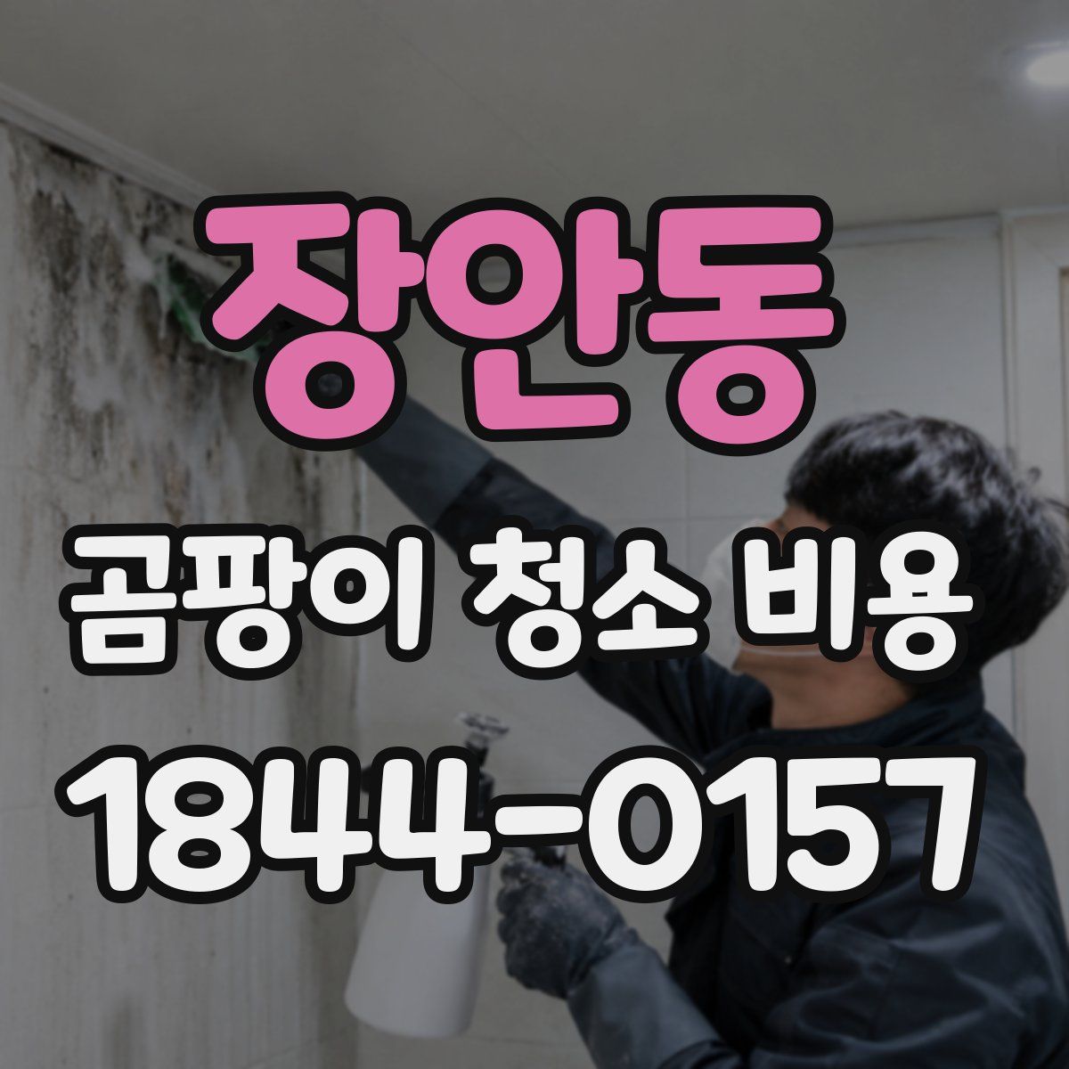 장안동 곰팡이 청소 비용