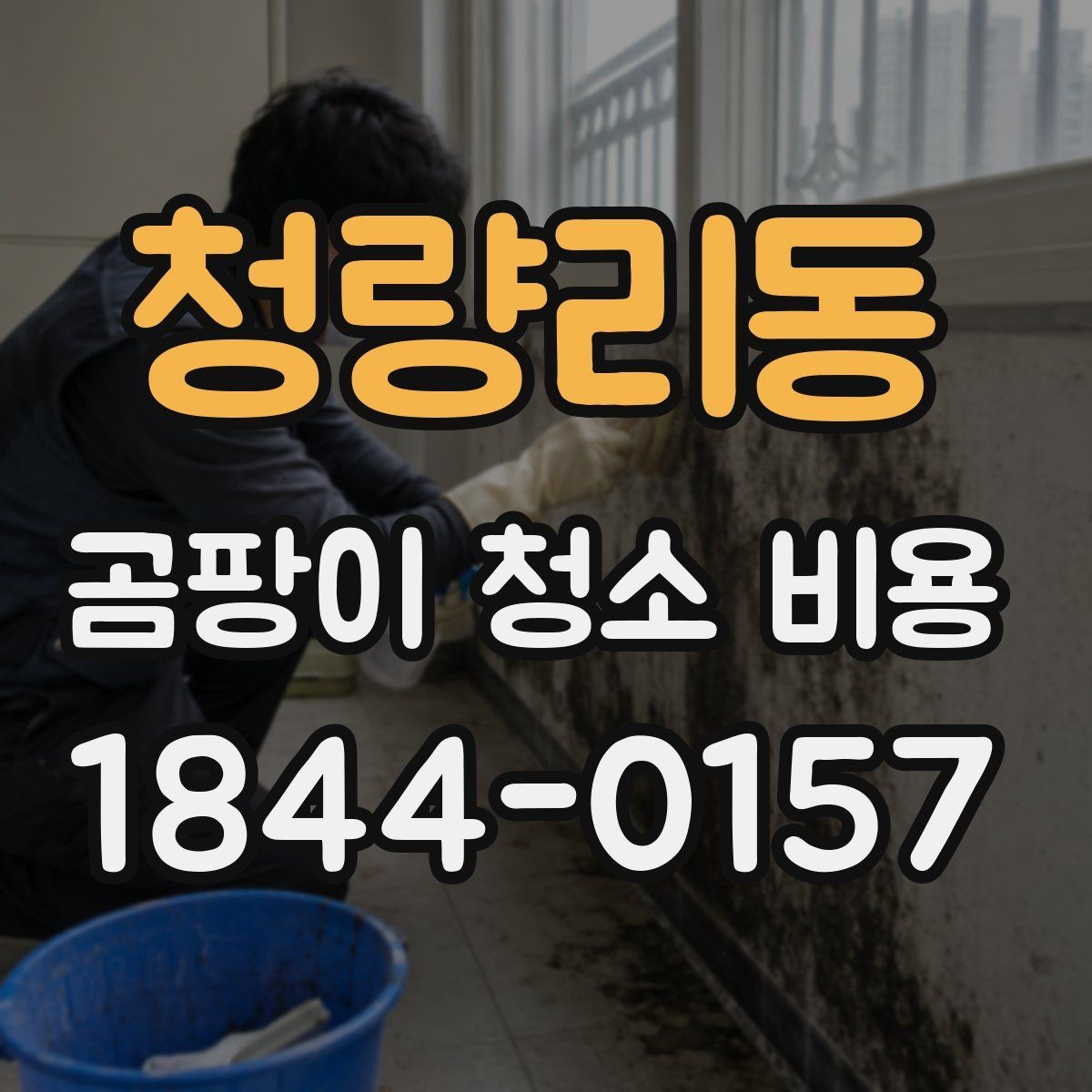 청량리동 곰팡이 청소 비용 장판 아래 번짐 의심될 때 확인할 점