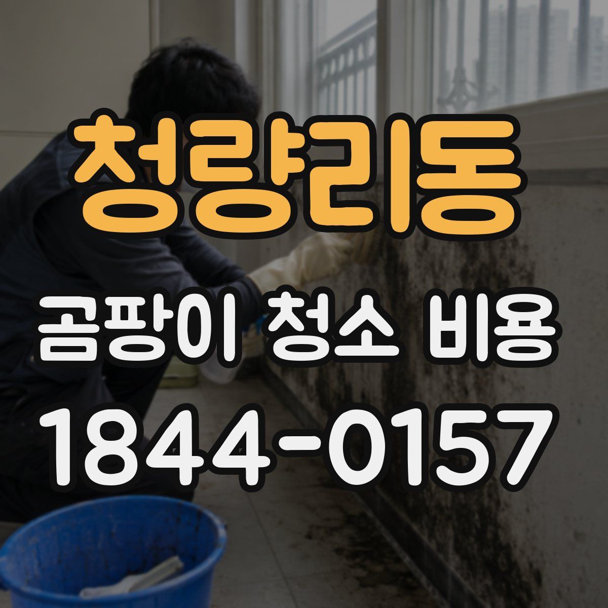 청량리동 곰팡이 청소 비용