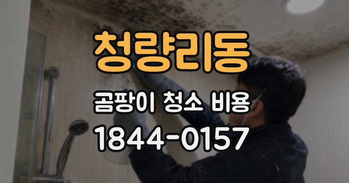 청량리동 곰팡이 청소 비용