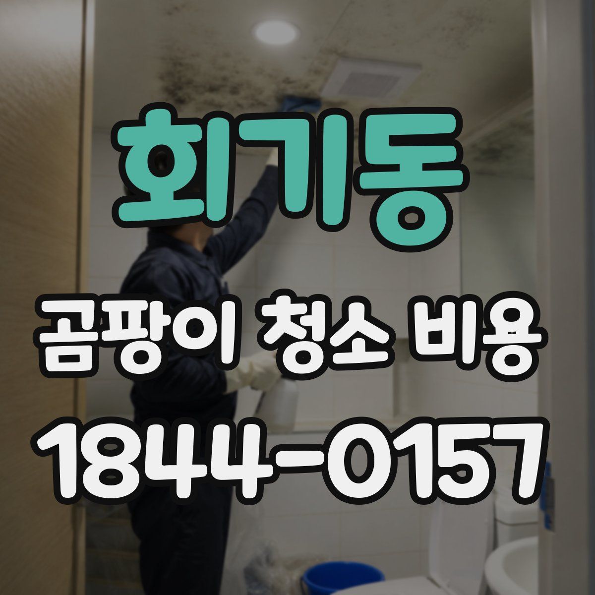 회기동 곰팡이 청소 비용