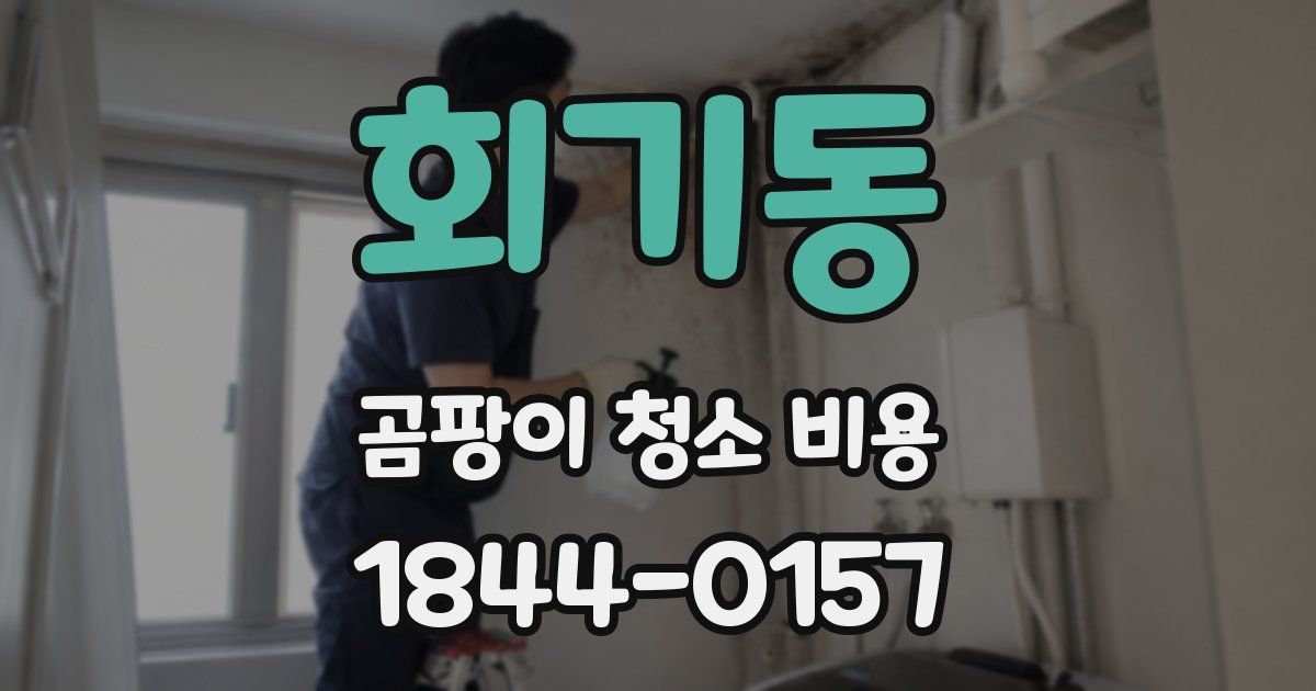 회기동 곰팡이 청소 비용
