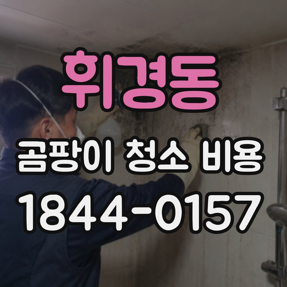 휘경동 곰팡이 청소 비용