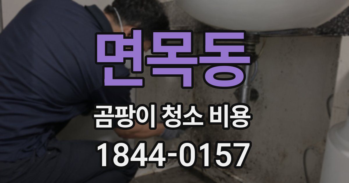 면목동 곰팡이 청소 비용