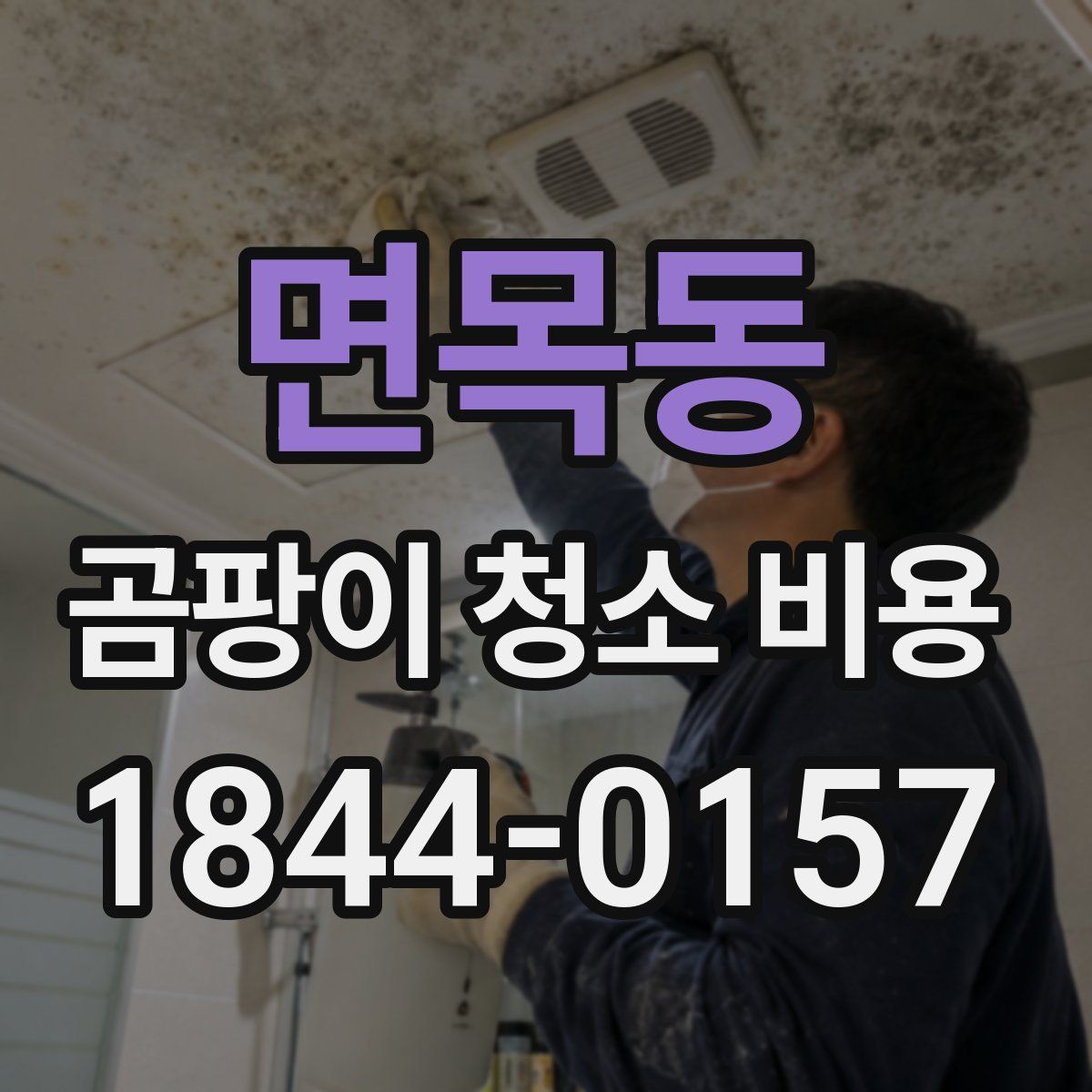 면목동 곰팡이 청소 비용