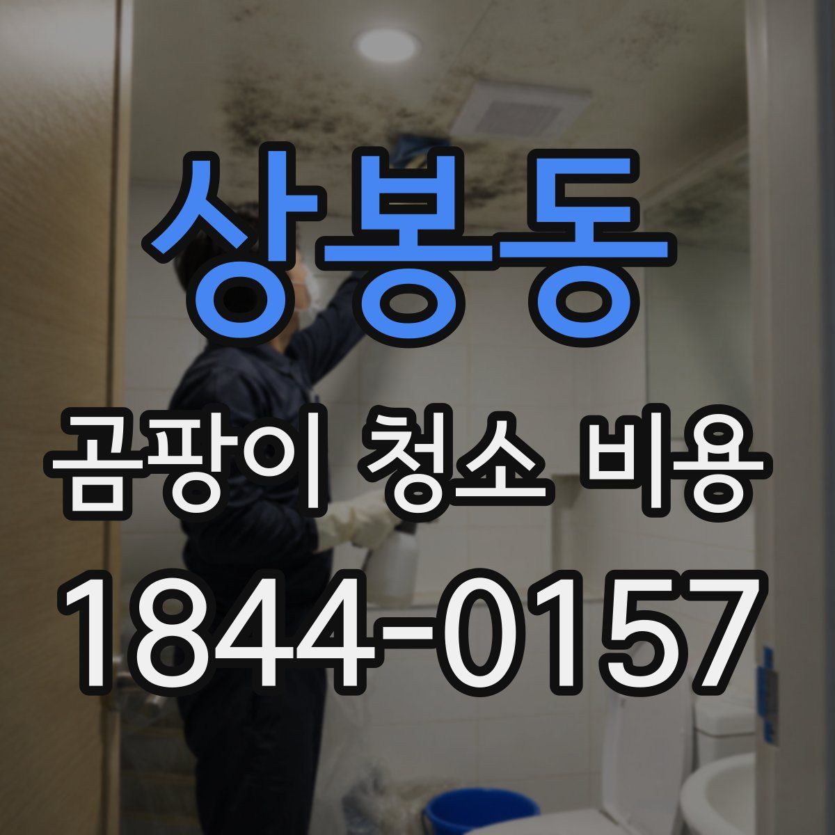 상봉동 곰팡이 청소 비용