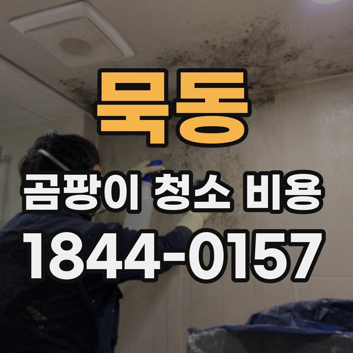 묵동 곰팡이 청소 비용 세척만으로 가능한지 따져보는 기준