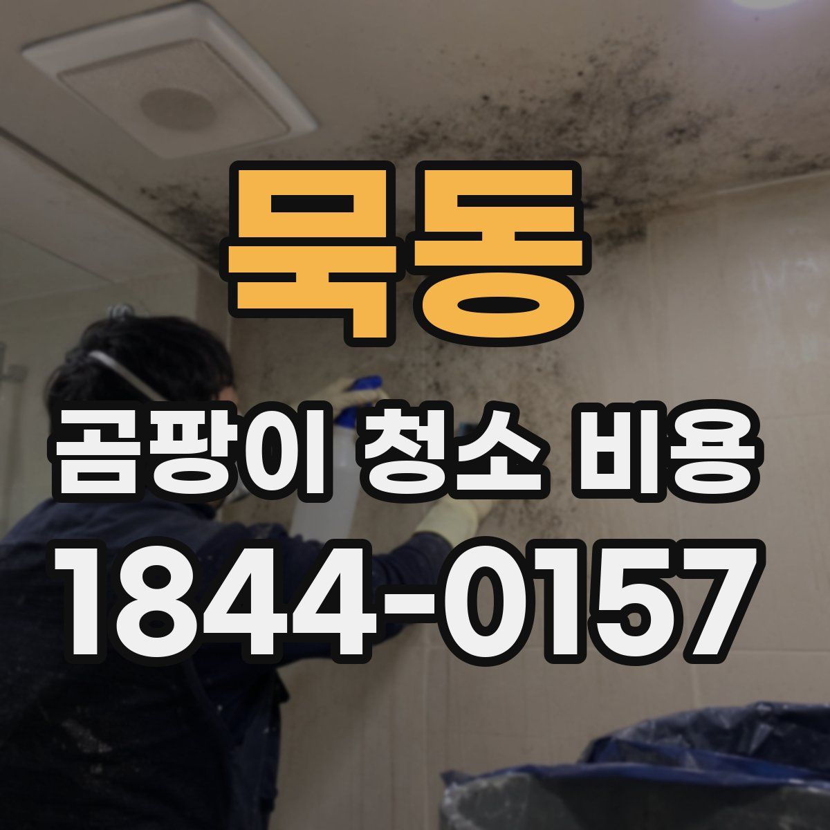 묵동 곰팡이 청소 비용
