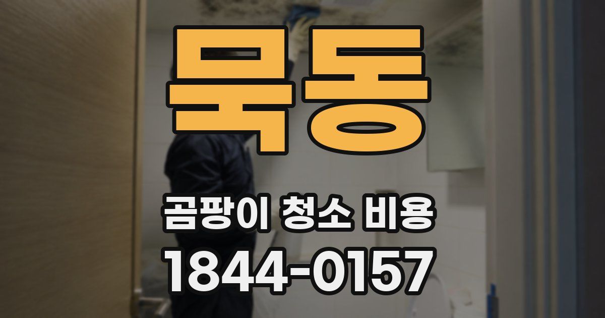 묵동 곰팡이 청소 비용